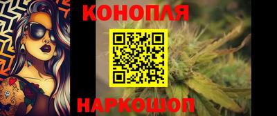 дмт Гай