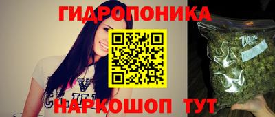 дмт Гай