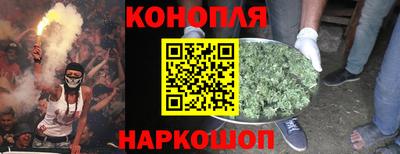 ешки Гатчина