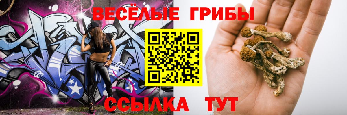 Псилоцибиновые грибы Cubensis  Вход с VPN  Курган  Псилоцибиновые грибы Magic Shrooms 